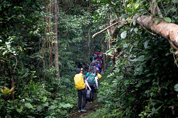 Jungle Trekking for Eco-Conscious Travelers: Explore Nature Responsibly